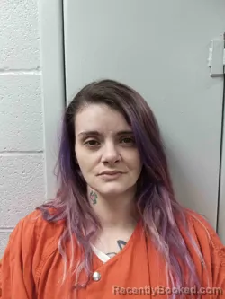 Mugshot of BRITTANY HAMILTON
