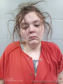 Mugshot of SHEILA LINDSEY