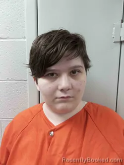 Mugshot of CHELSEY NEAMON