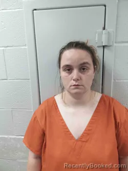 Mugshot of ABBY JENKINS