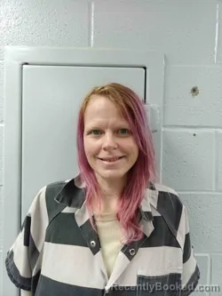 Mugshot of ASHLEY HICKS