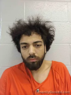 Mugshot of LUIS MENDOZA