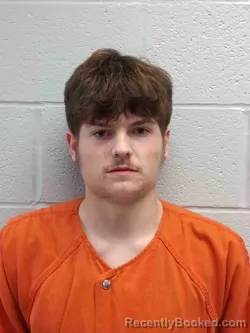 Mugshot of DYLAN TANNER