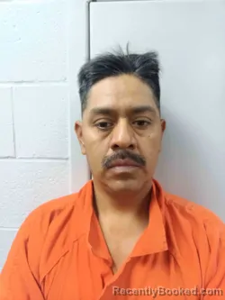 Mugshot of RENE FERNANDEZ booked in Logan County, Kentucky on April 19, 2026