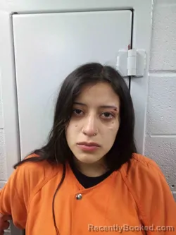 Mugshot of JOCELYN GONZALEZ booked in Logan County, Kentucky on May 2, 2026