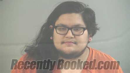 Booking photo from Logan County, Kentucky