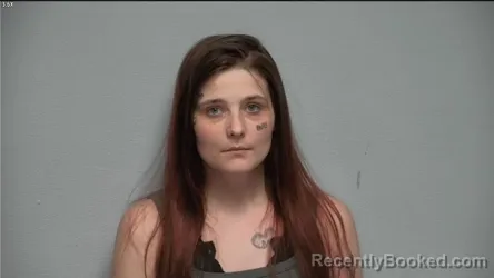 Mugshot of ASHLEIGH S CHESSOR