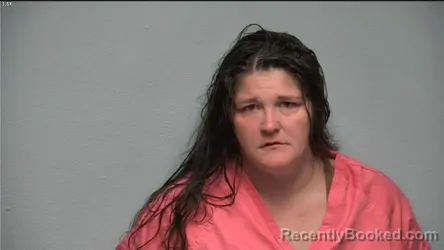 Mugshot of AMBER E SULLIVAN