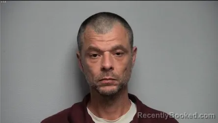 Mugshot of DAVID HODGES