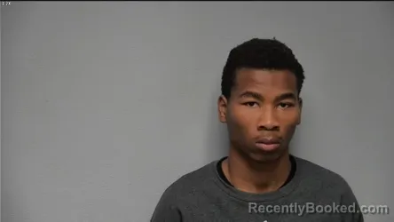 Mugshot of DEANDREA D PHILLIPS