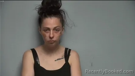 Mugshot of HEATHER LYNN HOLLEY booked in McCracken County, Kentucky on April 24, 2026