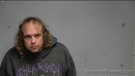 Mugshot of JESSIE L LAMB