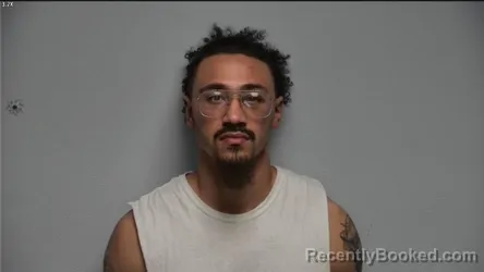 Mugshot of JOEL ANDREW WILSON