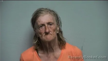Mugshot of LYNDA G SUMMERFORD booked in McCracken County, Kentucky on June 21, 2026