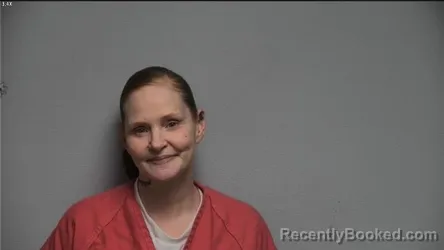 Mugshot of MARY A HAYES