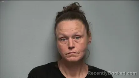 Mugshot of MELITA A PAINTER