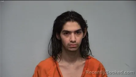 Mugshot of REYNALDO LUCATERO