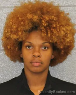 Mugshot of TIERRA MICHELLE ROLLINS