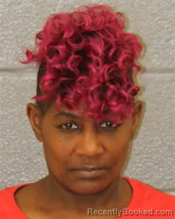 Booking photo from Mecklenburg County, North Carolina