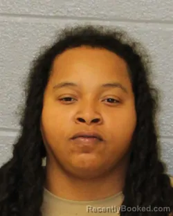 Mugshot of CHRISTINA THERESA JACKSON