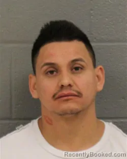 Mugshot of ROMAN FLORES OLMOS