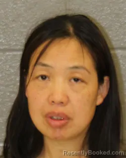 Mugshot of HUI RONG CHEN