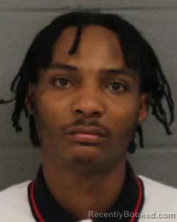 Mugshot of RYAN NEWBERRY