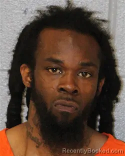 Mugshot of WILSON CHAVIS