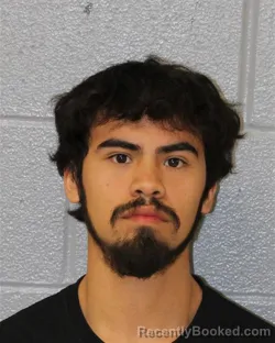 Mugshot of ELMER LEON