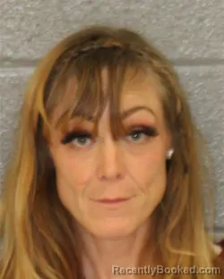 Mugshot of SHANNON RAE BRITT