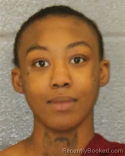 Mugshot of ANGEL LASHAUNE-MARIE JOHNSON