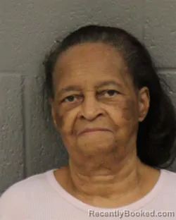 Mugshot of ARZELLA YOUNG MCCAIN