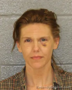 Mugshot of MANDY MAE BURLINGHAM