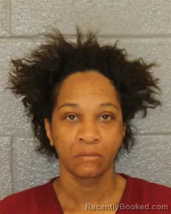 Mugshot of CHANTE DANAY BROWN
