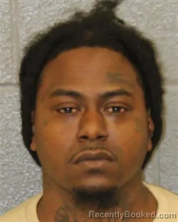 Mugshot of TERRIS LEE MCLENDON