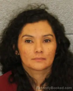 Mugshot of HEYDI ZUNIGA-REYES