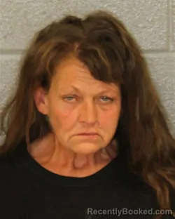 Mugshot of LISA CHRISTINE HARBIN