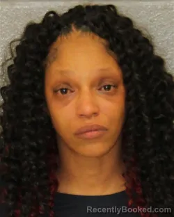 Mugshot of FENNETTA NIKKOL WILLIAMS