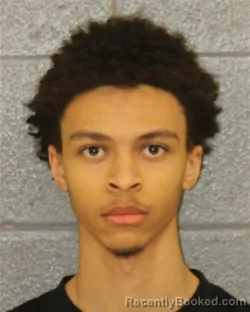 Mugshot of CHASE REZA MCCLAIN