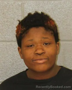 Mugshot of KARMAH JANAE WILLIAMS