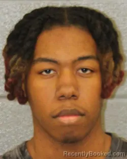 Mugshot of BRAYLON JAMES-ANTHONY KING