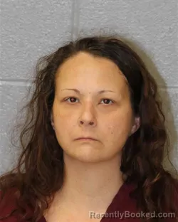 Mugshot of LISA MARIE PULVER