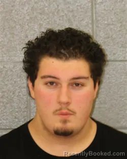 Mugshot of DAVID PAGAVA