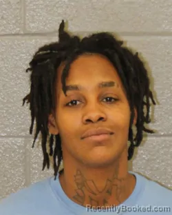 Mugshot of PRINCESS PRISCILLA NATT