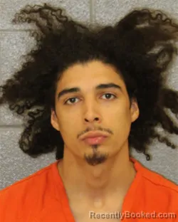 Mugshot of GIOVANI JOEL LOPES