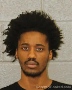 Mugshot of MESSIAH LEE=JAMES MCKELVIN