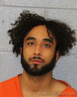 Mugshot of CAMERON JOAQUIN RAMIREZ