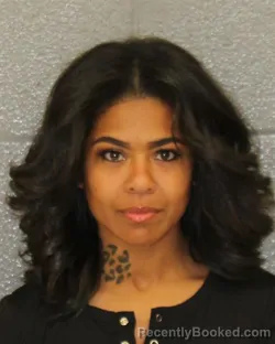 Mugshot of NIA HELENE HUNT