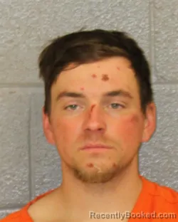 Mugshot of IAN PAIGE JANEY