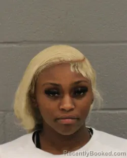 Mugshot of TERRISH TECHELLE RHODES